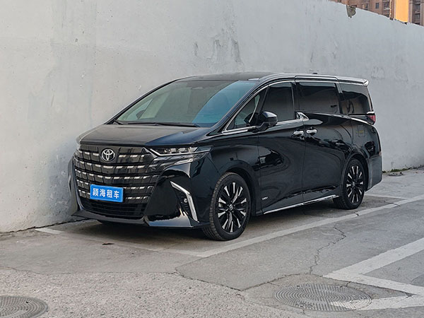 1765787361966021.jpg 埃尔法-3_60-45.jpg